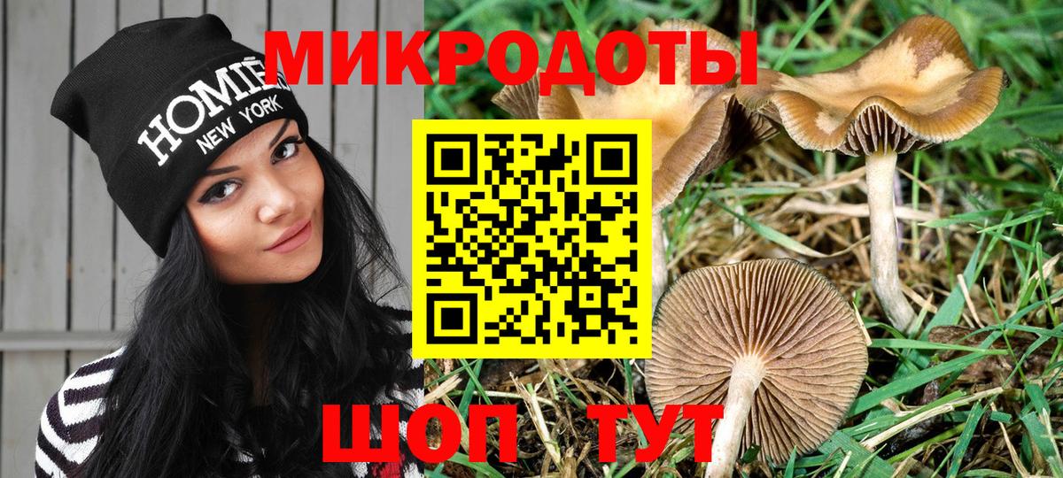 Галлюциногенные грибы Magic Shrooms Артём