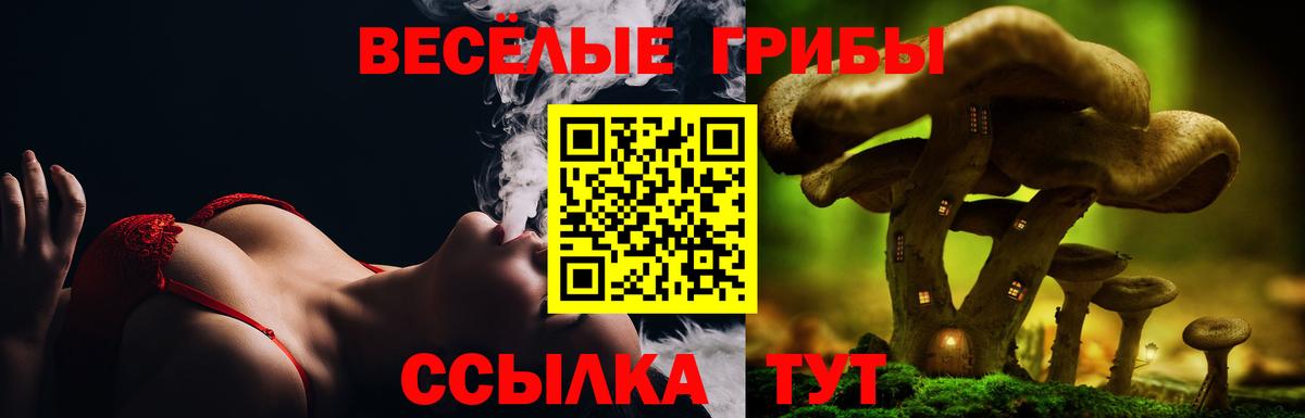 купить наркотики цена  Псилоцибиновые грибы MAGIC MUSHROOMS  Псилоцибиновые грибы MAGIC MUSHROOMS  Вход с VPN  Артём 